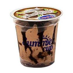 دومینو بستنی لیوانی شکلاتی65گرم